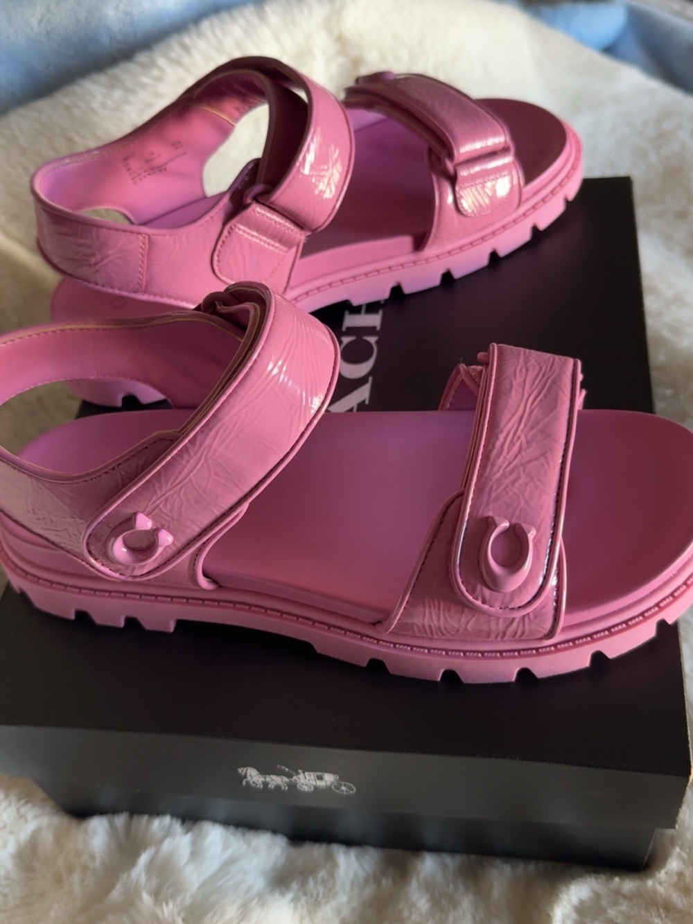 Coach Brynn sandals